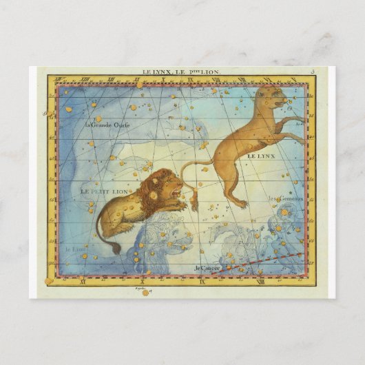 Vintage Constellation Leo Briefkaart (Voorkant)