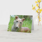 Vintage Corgi Kaart (Gele Bloem)