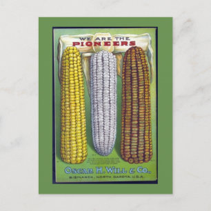 Vintage Corn Seed Packet Post Card Briefkaart