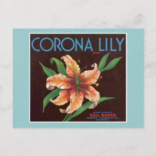 Vintage Corona Lily Fruit Label Briefkaart