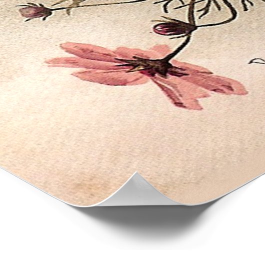 Vintage Cosmos Bouquet Poster (Hoek)