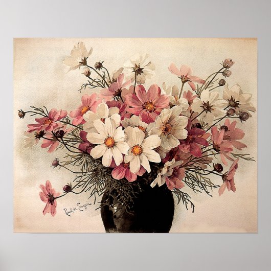 Vintage Cosmos Bouquet Poster (Voorkant)