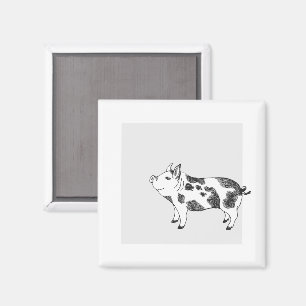 Vintage Cottagecore Varken LineArt Minimalistische Magneet