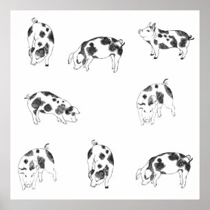 Vintage Cottagecore Varken LineArt Minimalistische Poster