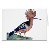 Vintage Crested Bird (Voorkant Horizontaal)