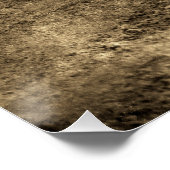 Vintage Crocodile Perfect Poster (Hoek)