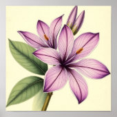 Vintage Crocus on Weathered Paper Poster (Voorkant)