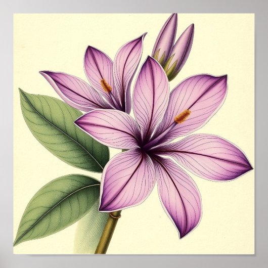 Vintage Crocus op Verweerd Papier Poster (Voorkant)