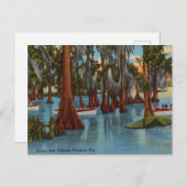 Vintage, Cruise Cyprus Gardens, Florida Briefkaart (Voorkant / Achterkant)