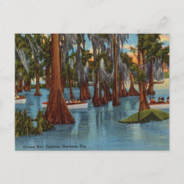Vintage, Cruise Cyprus Gardens, Florida Briefkaart