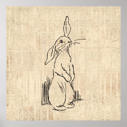 Vintage Cute Bunny Rabbit Art Script Background Poster (Voorkant)
