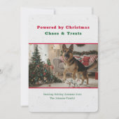 Vintage Cute Funny Dog Pet Photo Christmas Feestdagenkaart (Voorkant)