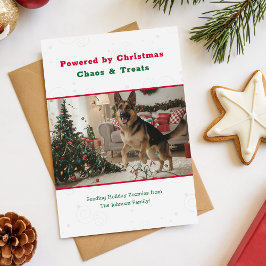 Vintage Cute Funny Dog Pet Photo Christmas Feestdagenkaart
