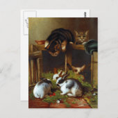 Vintage Cute Rabbits en Kittens Briefkaart (Voorkant / Achterkant)