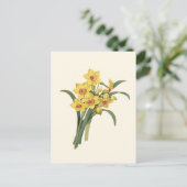 Vintage Daffodils Briefkaart (Staand voorkant)
