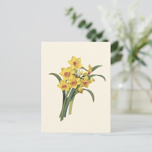 Vintage Daffodils Briefkaart (Staand voorkant)