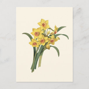 Vintage Daffodils Briefkaart