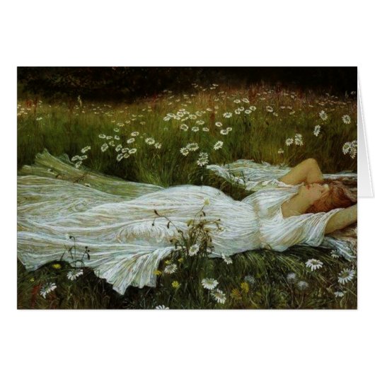 Vintage - Dagdromen in een gebied van de Daisies, (Voorkant Horizontaal)