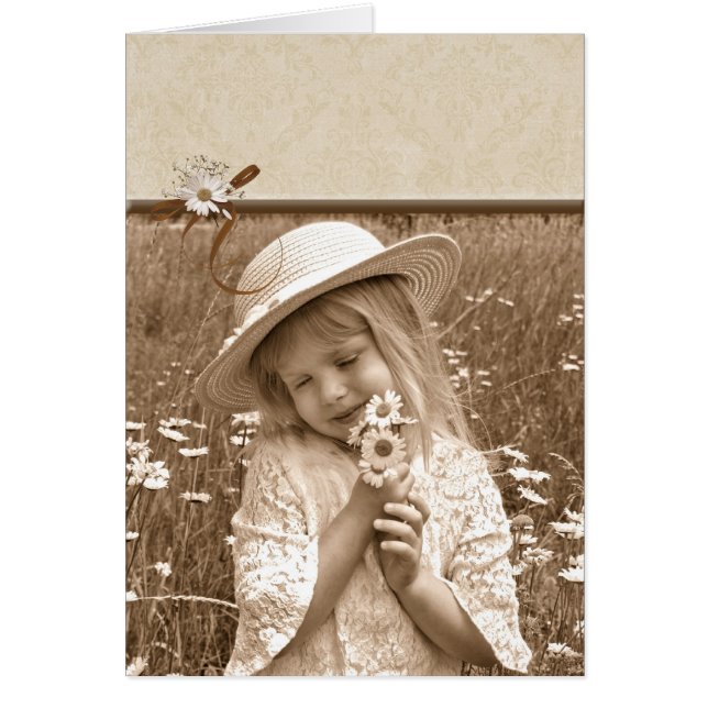 Vintage Daisies (Voorkant)