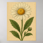 Vintage Daisy on Weathered Paper Poster (Voorkant)