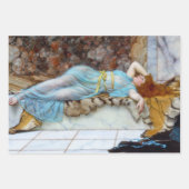 Vintage Dames Decoupage Inpakpapier Vel (Voorkant)