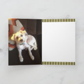 vintage de sympathiekaart van het kaart (Binnen)