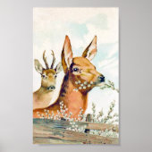 Vintage Deer Poster (Voorkant)