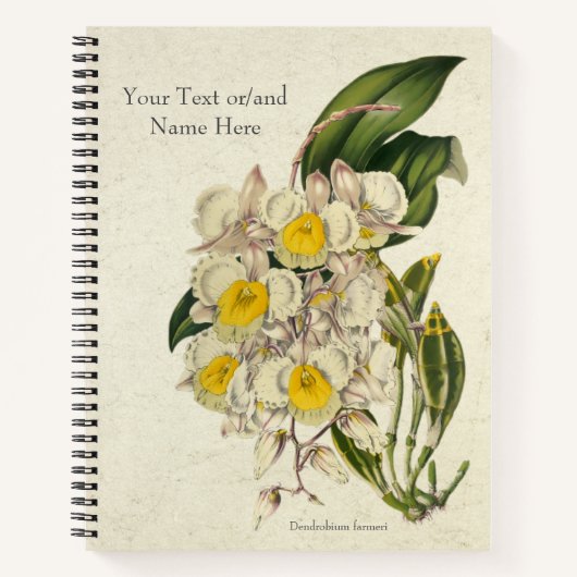 Vintage Dendrobium farmeri Orchidee Notitieboek (Voorkant)