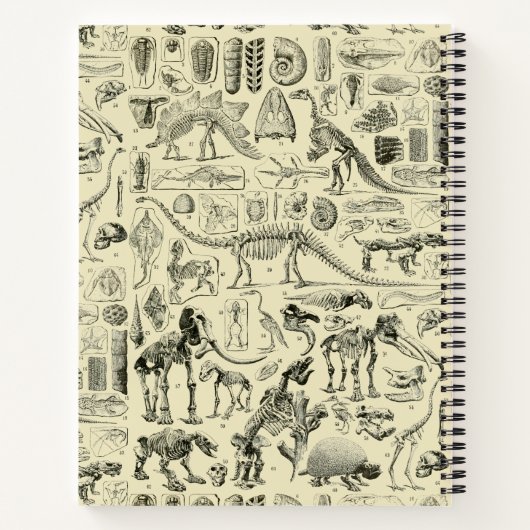 Vintage Dinosaur Bone Fossils Art Notitieboek (Achterkant)