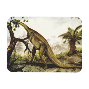 Vintage Dinosaurus, Plateosaurus Grazing op bomen Magneet