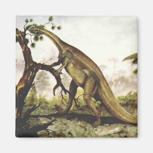 Vintage Dinosaurus, Plateosaurus Grazing op bomen Magneet (Voorkant)