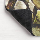 Vintage Dinosaurus, Plateosaurus Grazing op bomen Muismat (Hoek)