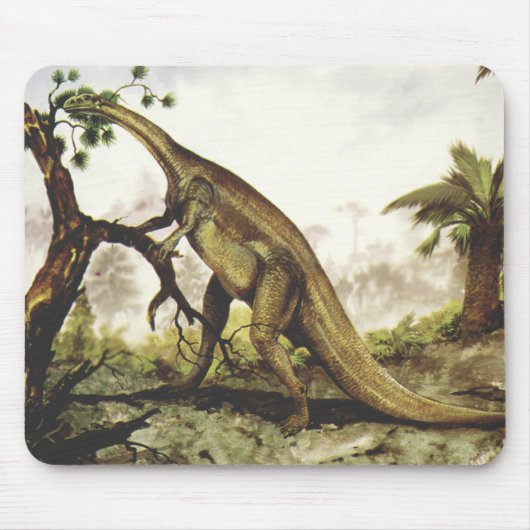 Vintage Dinosaurus, Plateosaurus Grazing op bomen Muismat (Voorkant)
