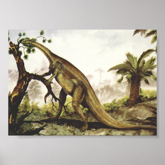 Vintage Dinosaurus, Plateosaurus Grazing op bomen Poster (Voorkant)