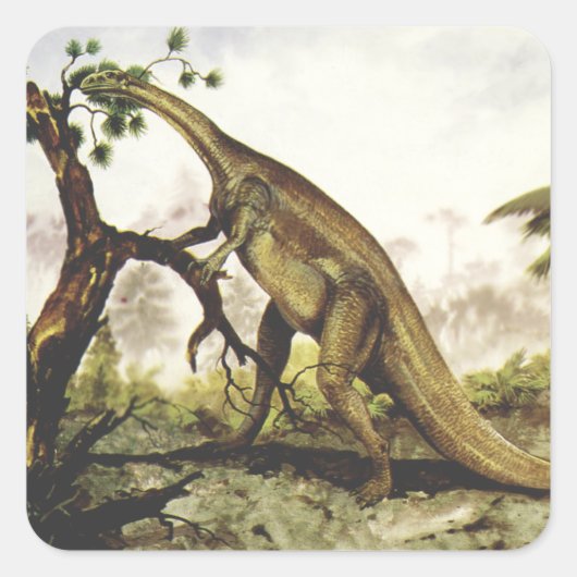 Vintage Dinosaurus, Plateosaurus Grazing op bomen Vierkante Sticker (Voorkant)