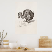 Vintage Dodo Bird Antique Bird Template Poster (Keuken)