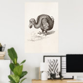 Vintage Dodo Bird Antique Bird Template Poster (Thuiskantoor)