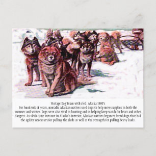 "Vintage Dog Team: Alaska" Briefkaart