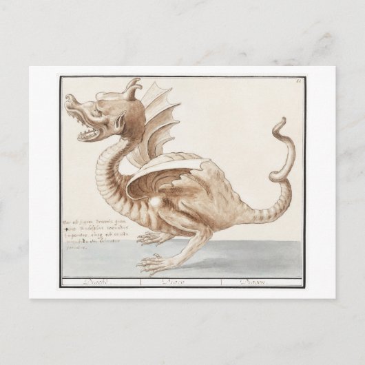 Vintage Dragon Illustration Briefkaart (Voorkant)