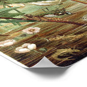 Vintage dragonfly Illustration Poster (Hoek)