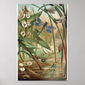 Vintage dragonfly Illustration Poster (Voorkant)