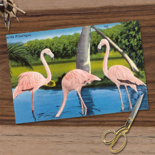 Vintage drie flamingo's tissuepapier