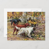 Vintage Drie Ierse zetels Briefkaart (Voorkant / Achterkant)