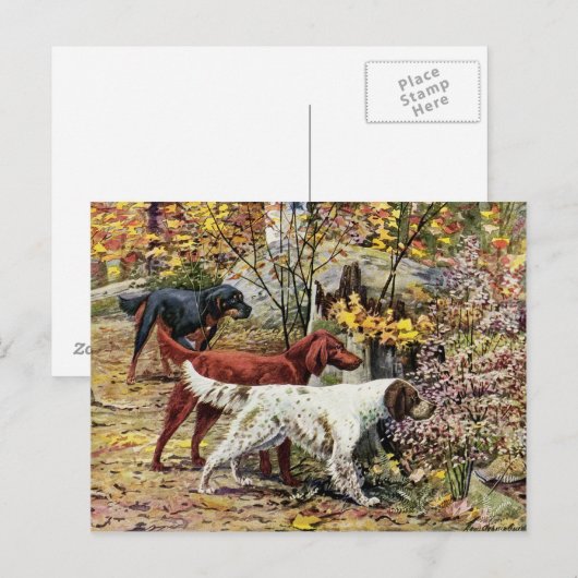 Vintage Drie Ierse zetels Briefkaart (Voorkant / Achterkant)