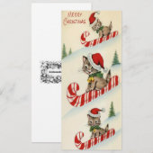 Vintage Drie Schattige Kittens op Snoep Can (Voorkant / Achterkant)