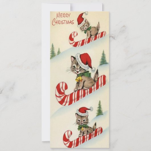 Vintage Drie Schattige Kittens op Snoep Can (Voorkant)