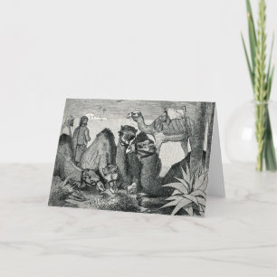 Vintage Drie Wijze Mannen Wenskaart Feestdagen Kaart