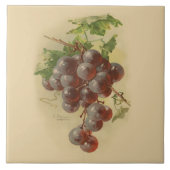 Vintage druiven tegeltje (Voorkant)