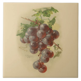 Vintage druiven tegeltje