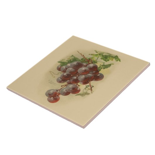 Vintage druiven tegeltje (Zijkant)